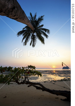 Light before sunrise at Koh(island) Ngai,Trang Province,Thailand 95103733