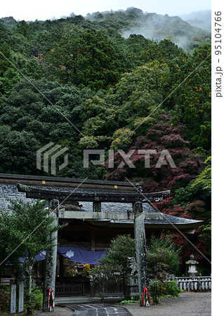 高座神社の紅葉 95104766