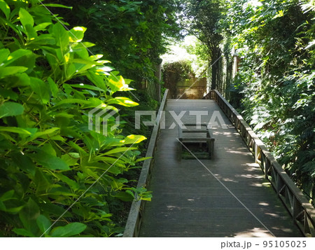 神奈川県の猿島にあるトレイル 95105025