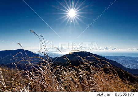 丹沢表尾根から見る大山・三ノ塔と湘南の海 95105377