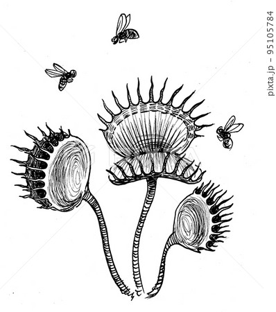 Carnivorous Plants Black White Stock Illustrations – 21 Carnivorous Plants  Black White Stock Illustrations, Vectors & Clipart - Dreamstime