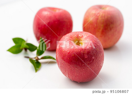 とっても甘い りんご( りんご ) 林檎 とっても甘い りんご( りんご ) 林檎 95106807