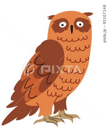 Forest animals, portrait of owl nocturnal bird Forest animals, portrait of owl nocturnal bird 95107148