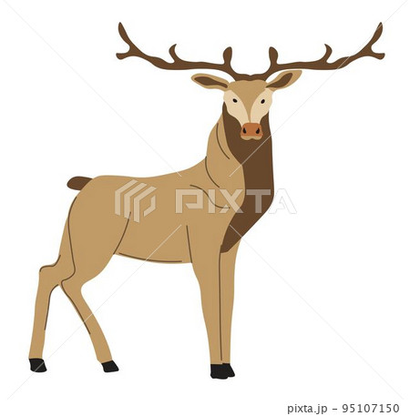 Forest deer hoofed grazing animal portrait vector 95107150