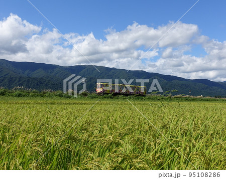 フラワー長井線　秋　稲穂 95108286