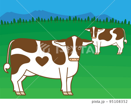 牧場にいる2頭の乳牛 95108352