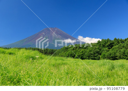 山梨_富士吉田から見る新緑の富士山 95108779
