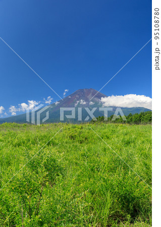 山梨_富士吉田から見る新緑の富士山 95108780
