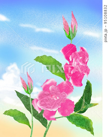 青空に映える花マンデビラのイラスト 95108832