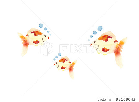 水彩の金魚 95109043
