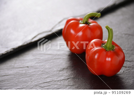 家庭菜園 収穫後のミニパプリカ 95109269