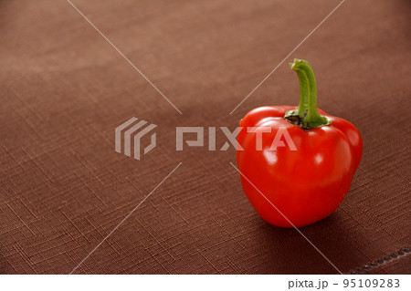 家庭菜園 収穫後のミニパプリカ 家庭菜園 収穫後のミニパプリカ 95109283