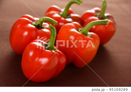 家庭菜園 収穫後のミニパプリカ 95109289