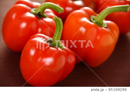 家庭菜園 収穫後のミニパプリカ 家庭菜園 収穫後のミニパプリカ 95109290