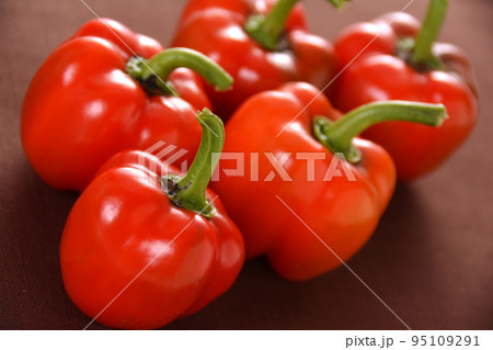 家庭菜園 収穫後のミニパプリカ 家庭菜園 収穫後のミニパプリカ 95109291