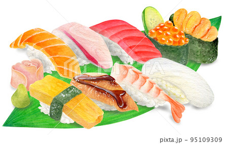 手描き水彩・9種類の握り寿司のイラスト 95109309