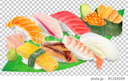 手描き水彩・9種類の握り寿司のイラスト 95109309