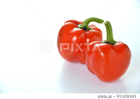 家庭菜園 収穫後のミニパプリカ 95109365