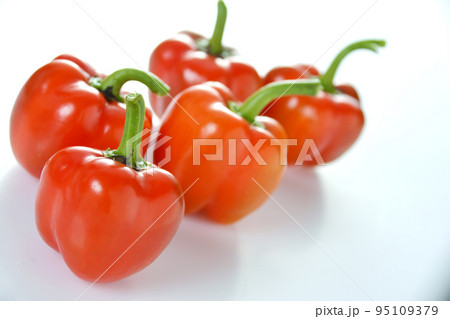 家庭菜園 収穫後のミニパプリカ 95109379