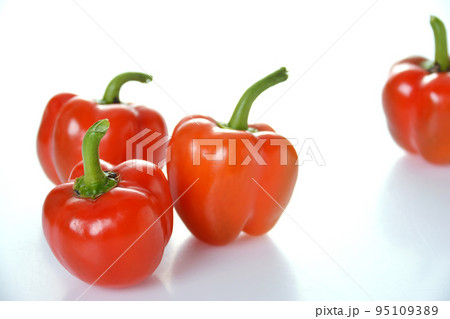 家庭菜園 収穫後のミニパプリカ 95109389