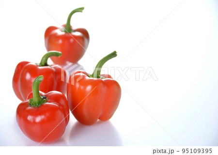家庭菜園 収穫後のミニパプリカ 95109395