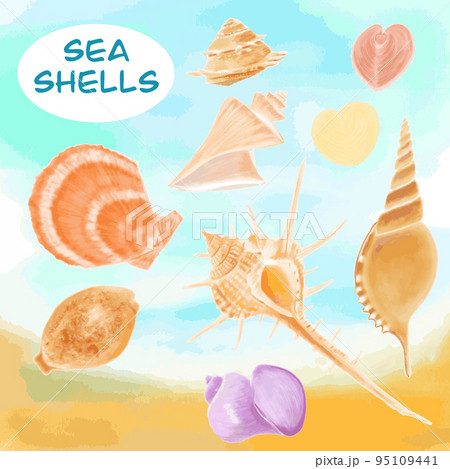 海にある貝殻のイラスト 海にある貝殻のイラスト 95109441