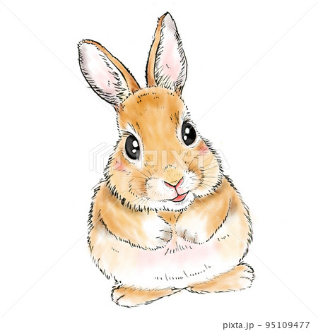 筆ペンと水彩で描いたようなうさぎのイラストのイラスト素材 [95109477
