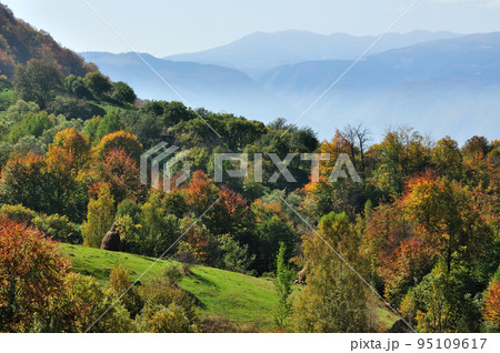 Mountain autumn landscape with colorful forest 95109617