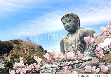 Ancient bronze statue of the Great Buddha Daibutsu and flowers of sakura, Kotoku-in temple, Japan, Asia 95110609