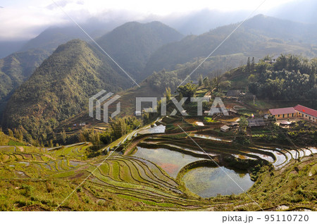 Terraced rice field in Northern Vietnam 95110720