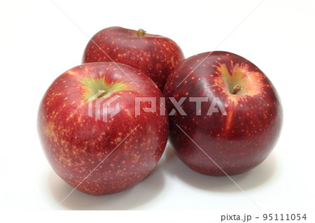 リンゴ（秋映） 95111054