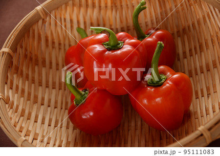 家庭菜園 収穫後のミニパプリカ 95111083