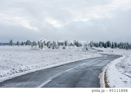 Winter asphalt road in forest Winter asphalt road in forest 95111898