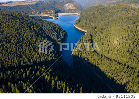 Aerial shot of a lake and forest Aerial shot of a lake and forest 95111905