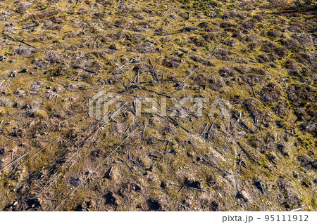 Deforestation aerial drone shot Deforestation aerial drone shot 95111912