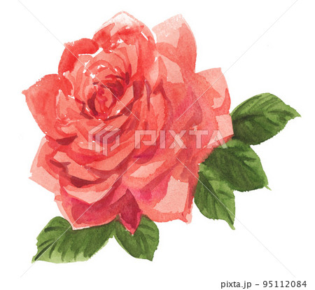 rose221010pix8 95112084