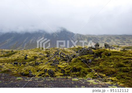 Eldhraun lava field in Iceland Eldhraun lava field in Iceland 95112112