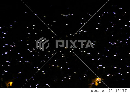 Motion blur of glowing smart phones in a dark tribune Motion blur of glowing smart phones in a dark tribune 95112137