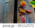 秋　ベンチに落ちる色づいた木の葉 95112572