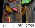 秋　ベンチに落ちる色づいた木の葉 95112799