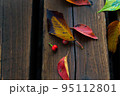 秋　ベンチに落ちる色づいた木の葉 95112801