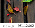 秋　ベンチに落ちる色づいた木の葉 95112802