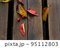 秋　ベンチに落ちる色づいた木の葉 95112803