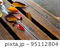 秋　ベンチに落ちる色づいた木の葉 95112804