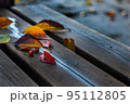 秋　ベンチに落ちる色づいた木の葉 95112805
