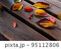 秋　ベンチに落ちる色づいた木の葉 95112806