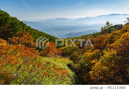 紅葉する御嶽山 紅葉する御嶽山 95113360