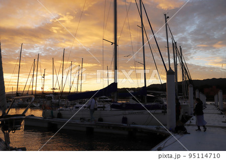 朝焼けのヨットハーバー 95114710