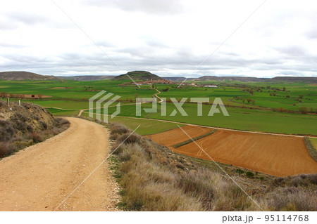 果てしない道、カミーノ（サンティアゴ巡礼） 95114768