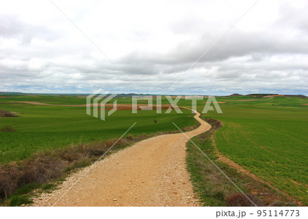 果てしない道、カミーノ（サンティアゴ巡礼） 95114773
